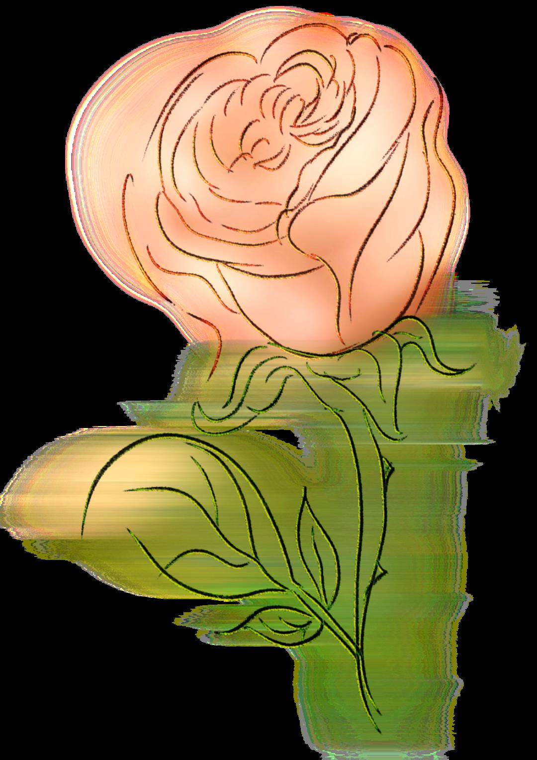 DƬ